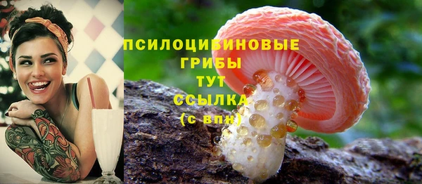прущие крисы Покровск