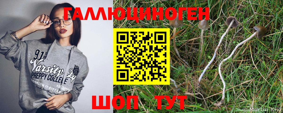 Каменск-Шахтинский  Галлюциногенные грибы GOLDEN TEACHER  Вход с VPN  Галлюциногенные грибы MAGIC MUSHROOMS 